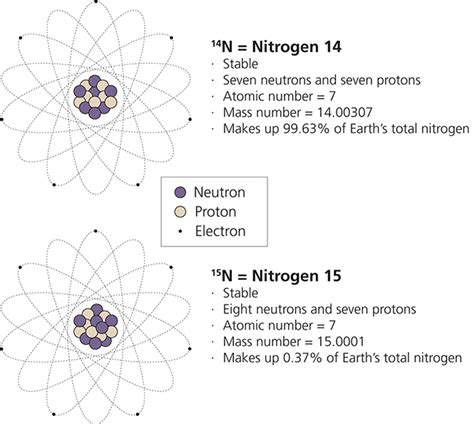 Properties of Nitrogen's Stable Isotopes